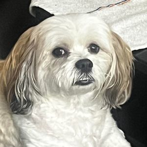 Meet your Posher, Agustin